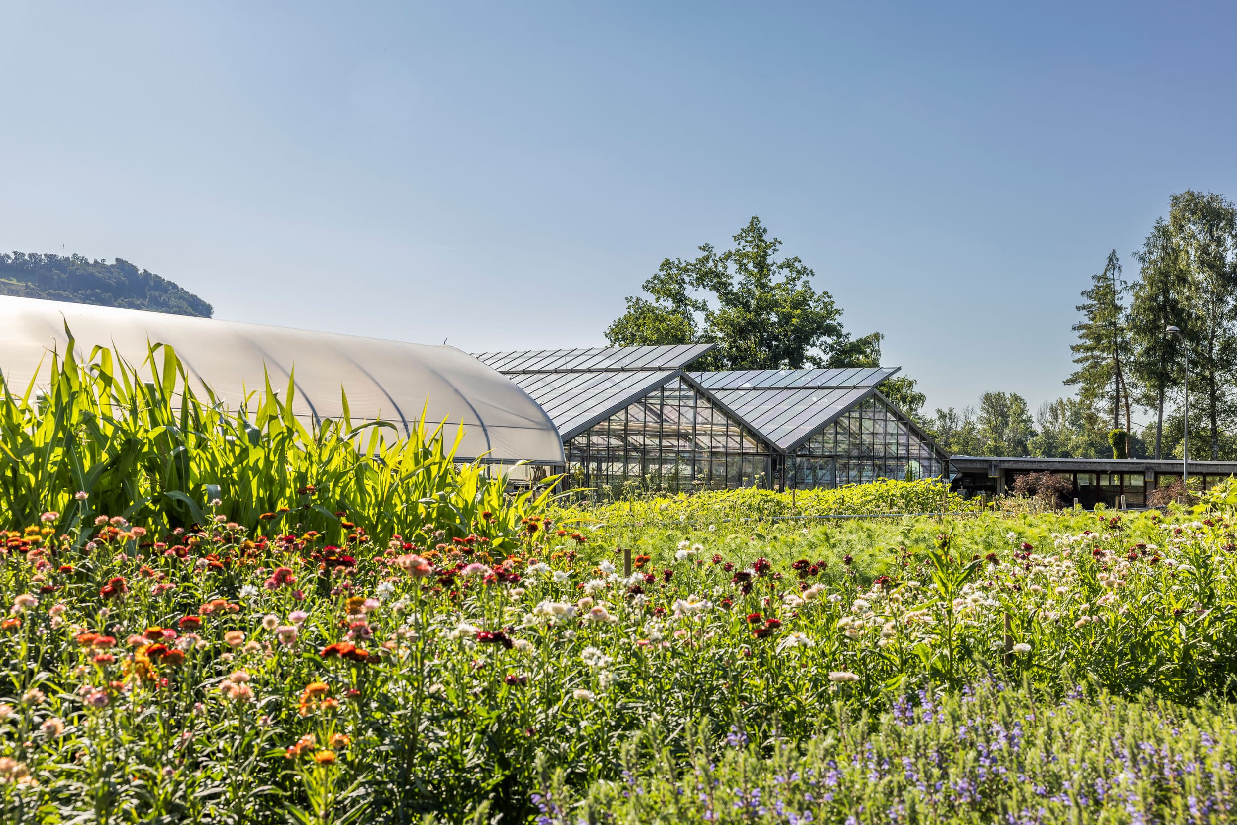 25-07-PZM_Bildwelt_359